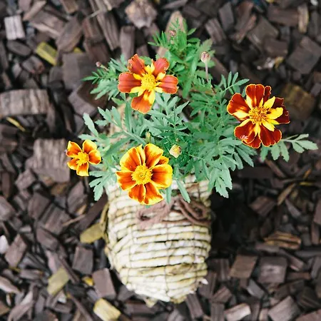 Ubytovanie V Sukromi Mikulaj Apartmán *