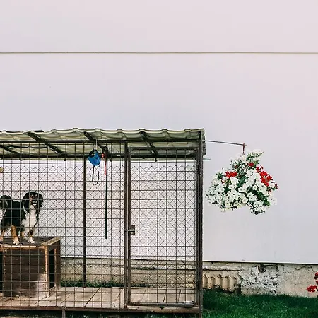 Ubytovanie V Sukromi Mikulaj